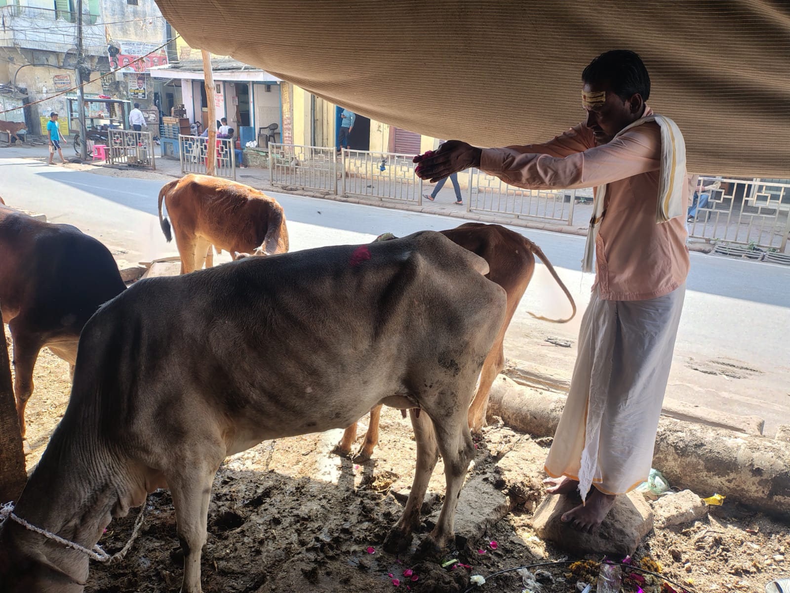 Gaudaan puja after asthi visarajan