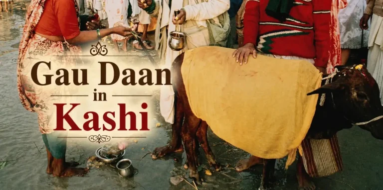 Gau Daan in Kashi